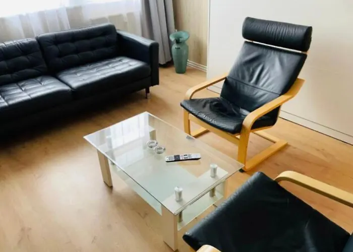 H& Apartment im Herzen der Stadt Nr.17-Karl mit Küche, Wohnzimmer und Esstisch